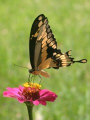 IMG_7588.jpg