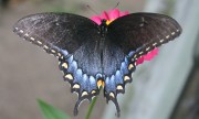 IMG_7623.jpg