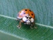 IMG_7926.jpg
