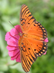 IMG_8056.jpg