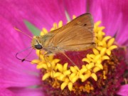 IMG_8127.jpg