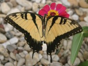 IMG_8138.jpg