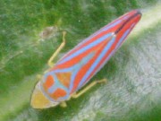 IMG_8192.jpg