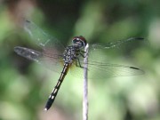 IMG_8404.jpg