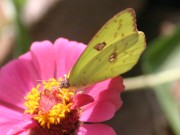 IMG_8425.jpg